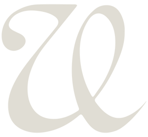 Vivie favicon